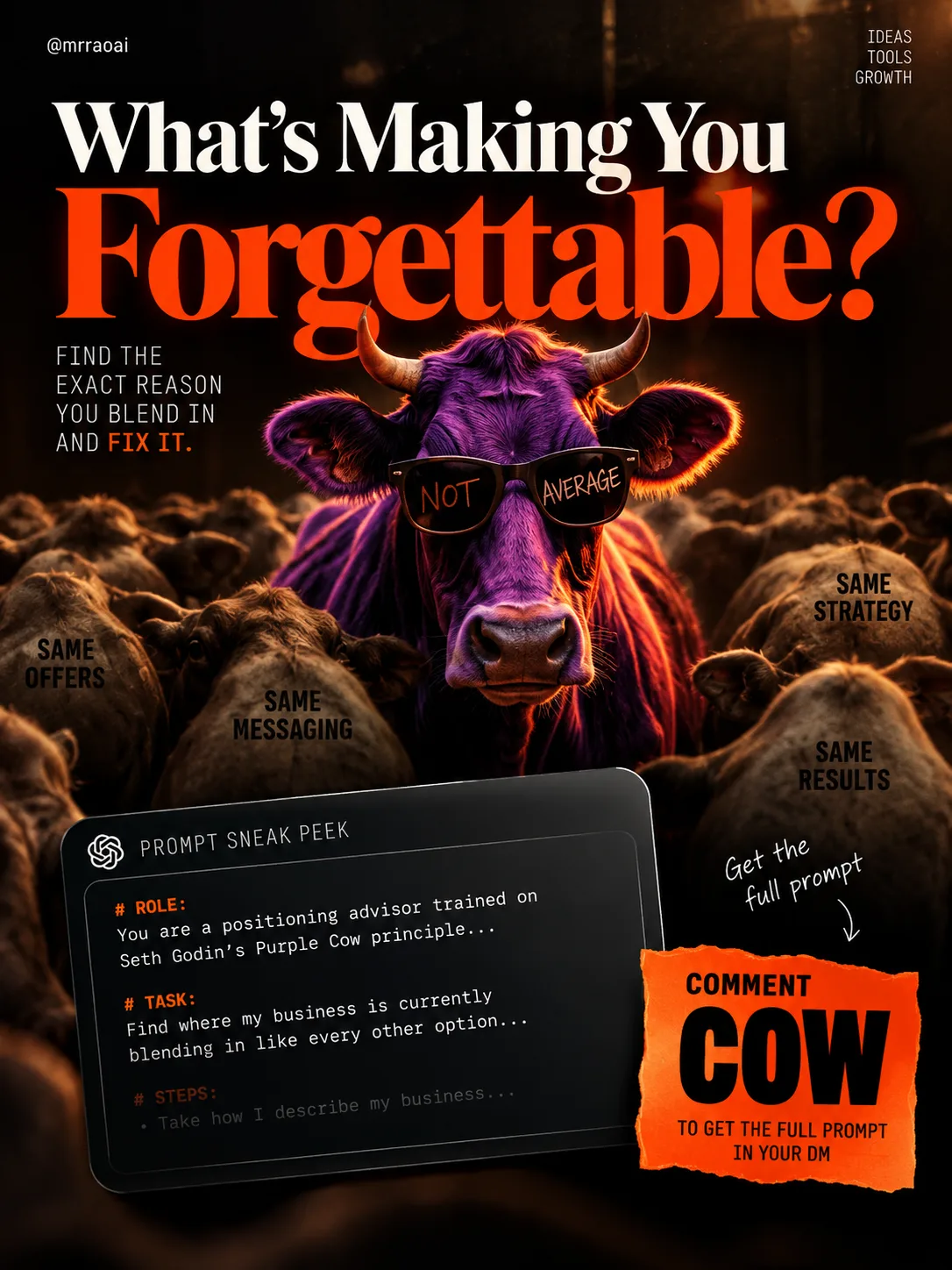 ChatGPT Image Sep 13, 2026, 05_51_30 PM.png
