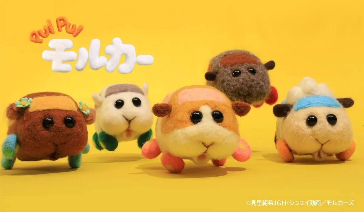 PUI PUI Molcar