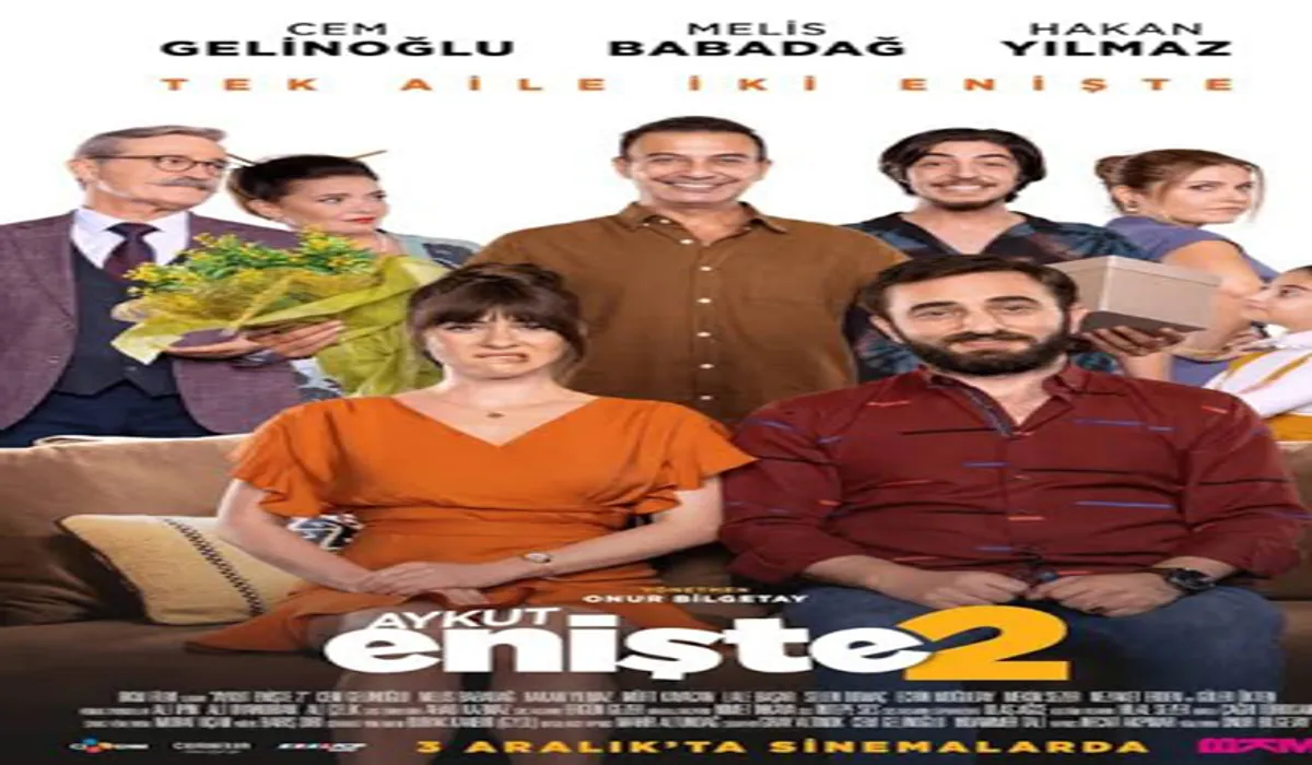 Brother in Love 2 (Aykut Enişte 2)