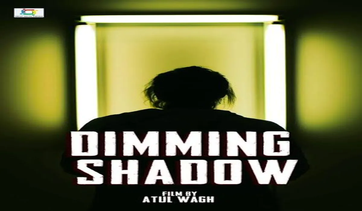 Dimming Shadows