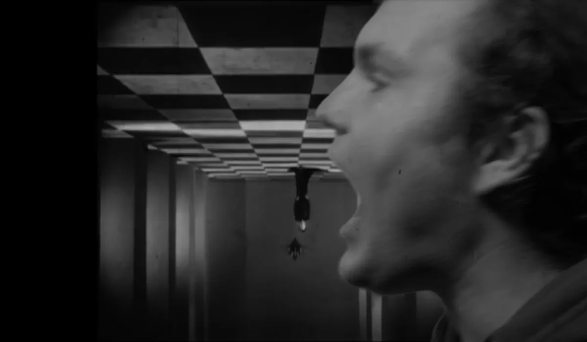 Face The Origin Fear