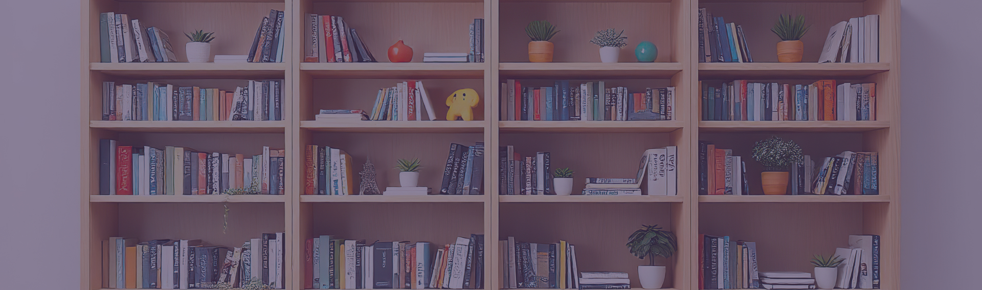 Bookshelves filled with colorful books