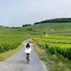 FineVining | wine & travel by Wonj