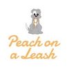 Peach On A Leash Dog Training