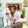 ✨Noelia Comellas 🌎Profesional 🐩Dog Groomer ✂️