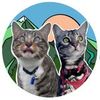 Bongo & Fifi the Adventure Cats
