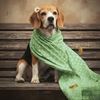 𝐌𝐎𝐉𝐎 [Beagle Dog]
