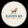 Raven K9 Dog Training | Emma | Dog Trainer
