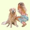 DOG MUM MINDSET | online dog training + behaviour