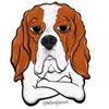 Benson the Beagle