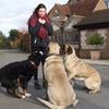 AnnieTrainsDogs - Dog Trainer