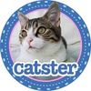 Catster Magazine
