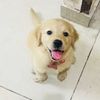 Jasper - Chandigarh, India Instagram influencer profile picture
