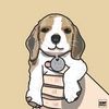Yui the Beagle ゆい