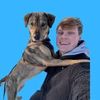 Toby Craze | Street Dog Training & Behaviour