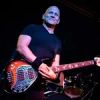 Danny Knapp - Bass Guitarist