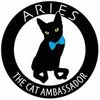 Aries The Cat Ambassador