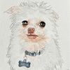 Odie the Goblin Dog