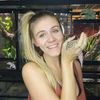Lyssa’s Lizards