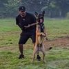 Rohan Kulkarni - Dog Trainer 🐺