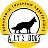 Ally’s Dogs