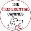 The Preferential Canines