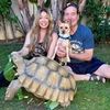 Tilly G The Tortoise