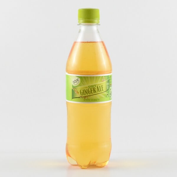 Elephant House Carbonated Soft Drink Dry Ginger Ale 500Ml - ELEPHANT HOUSE - Soft Drinks - in Sri Lanka