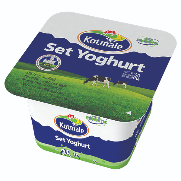 Kotmale Set Yoghurt 80G - KOTMALE - Yogurt - in Sri Lanka