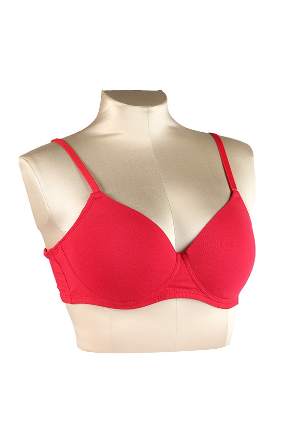 Amante 38C Red Support Bra in Valsad - Dealers, Manufacturers & Suppliers -  Justdial