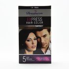 Dreamron Hair Color Five Minutes Express Pack 1.0 30Ml - in Sri Lanka