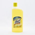 Lysol Citrus All Purpose Clean 500Ml - in Sri Lanka