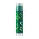 Luvesence Mostly Mint Lip Balm 3.5G - in Sri Lanka