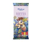 Ritzbury Roccoa F/Nut Chocolate 160G - in Sri Lanka