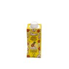 Nootz C/Nut Pineapple Smoothie 180Ml - in Sri Lanka