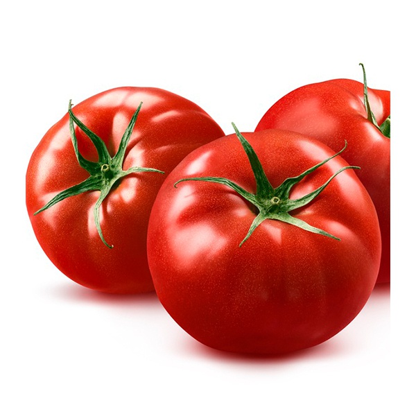 Green House Tomatoes - in Sri Lanka