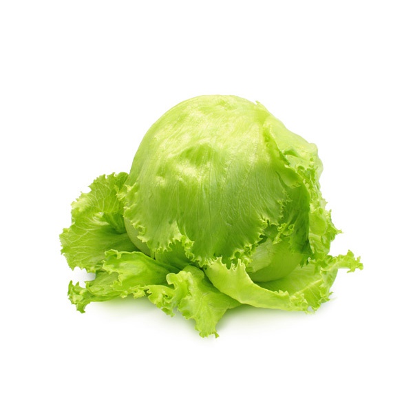 Iceberg ( Lettuce ) - GLOMARK - Vegetable - in Sri Lanka