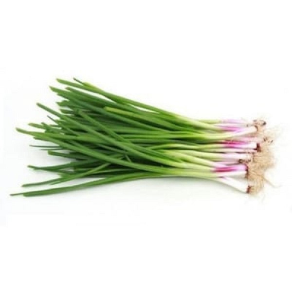 Spring Onion - GLOMARK - Vegetable - in Sri Lanka