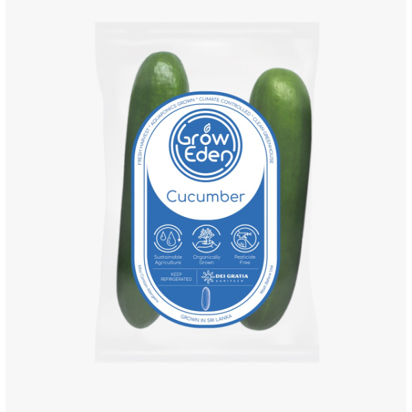 Groweden Salad Cucumber  500G - GROWEDEN - Vegetable - in Sri Lanka