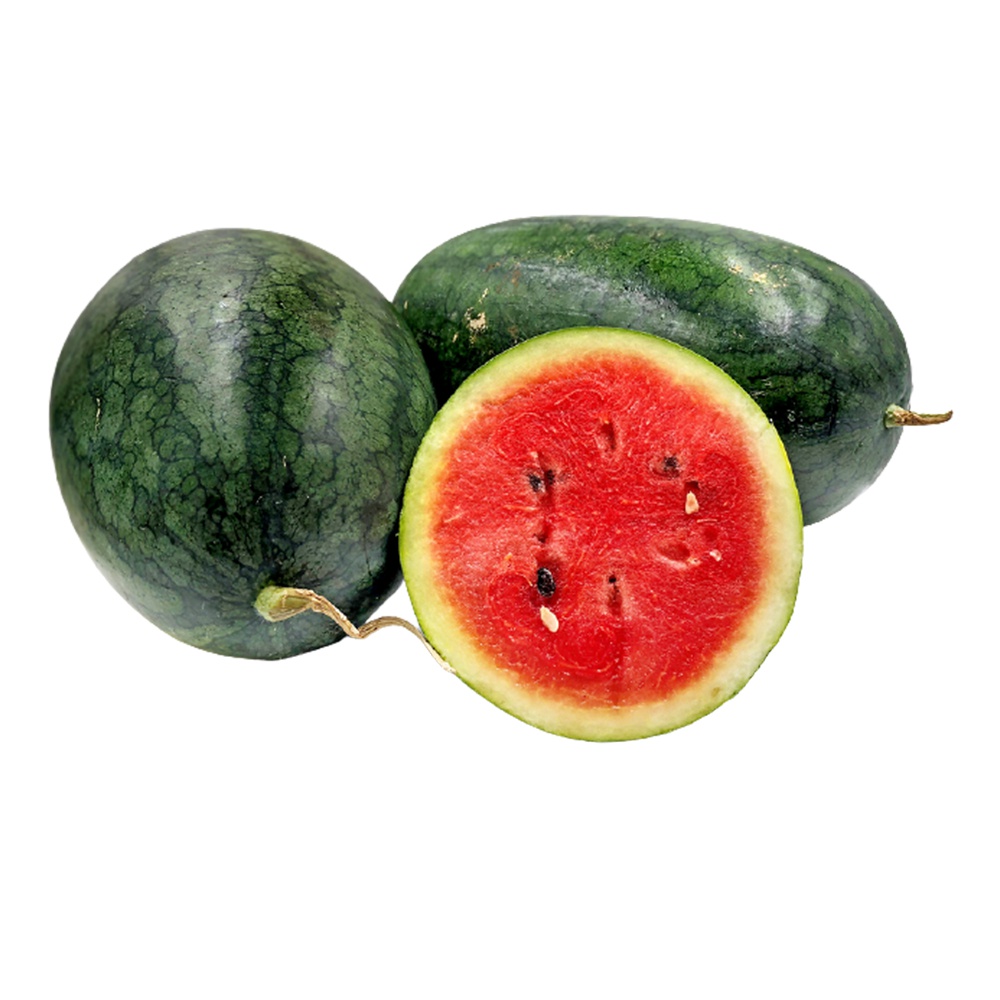 Melon - Dark Bell - GLOMARK - Fruits - in Sri Lanka