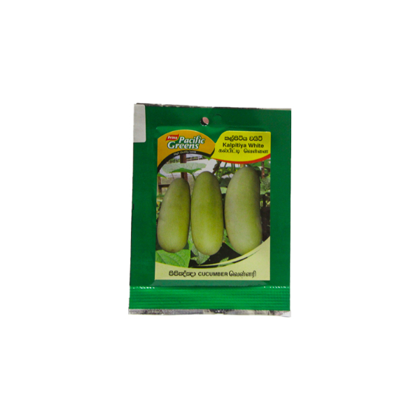 Cucumber - Kalpitiya White 2G - PACIFIC GREENS - Gardening & Bbq - in Sri Lanka