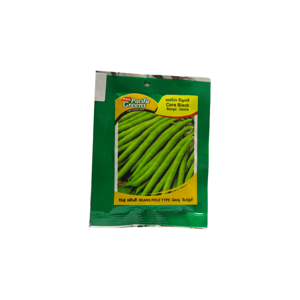 Bean Cora Black 2.5G - PACIFIC GREENS - Gardening & Bbq - in Sri Lanka