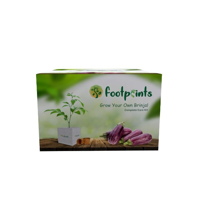 Footprint Complete Care Kit - Brinjal - FOOTPRINT - Gardening & Bbq - in Sri Lanka