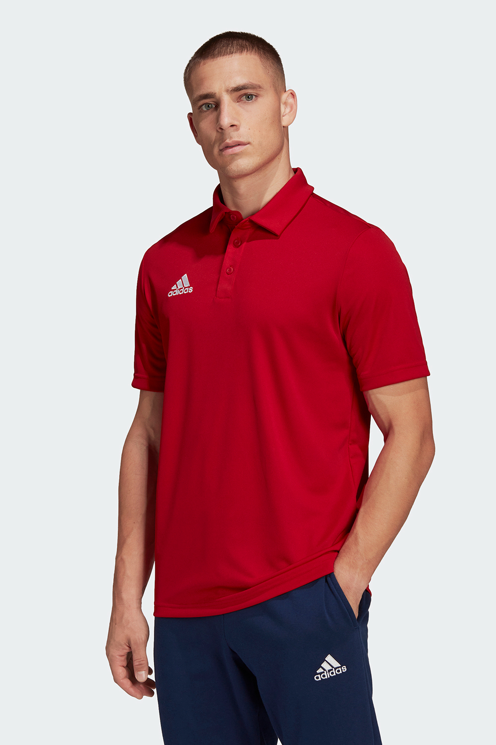 Adidas Mens Ent22 Football Polo Shirts | Odel.lk