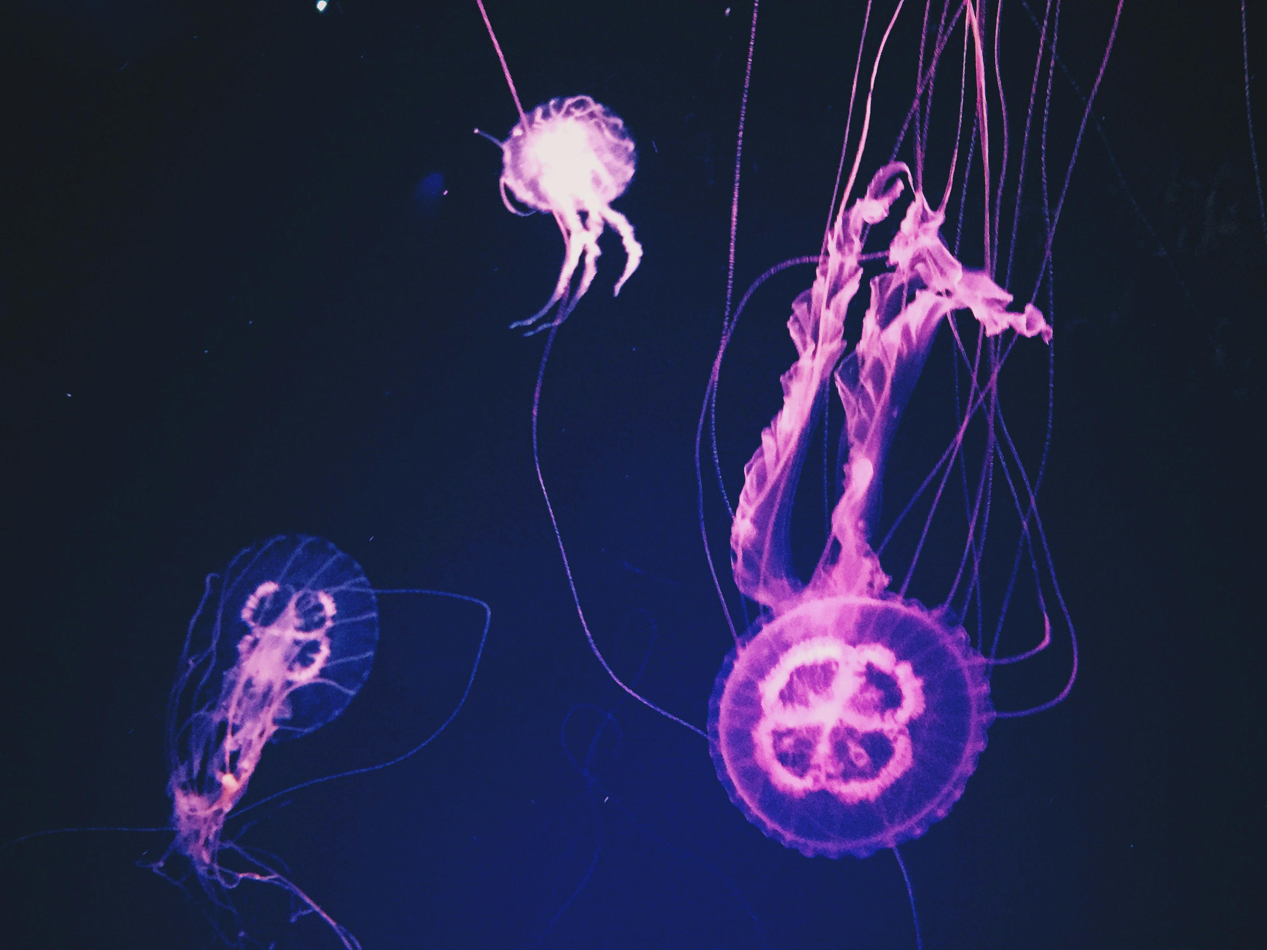 NeuroPolr3