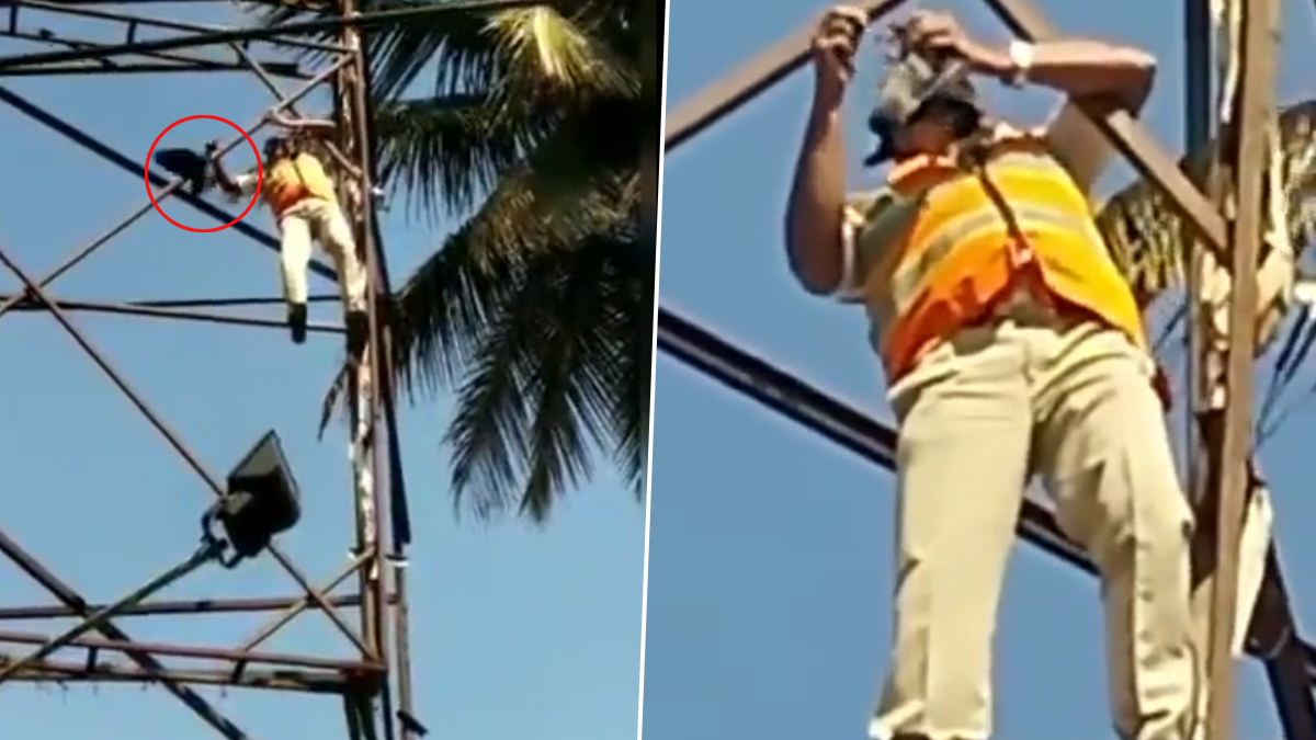 Police Help Bird : அந்தரத்தில் சிக்கிய காகத்திற்கு கருணை காண்பித்த காவலர்.. அன்பும், துணிவும் இருந்தால் ஆபத்தும் அல்வா தான்.!