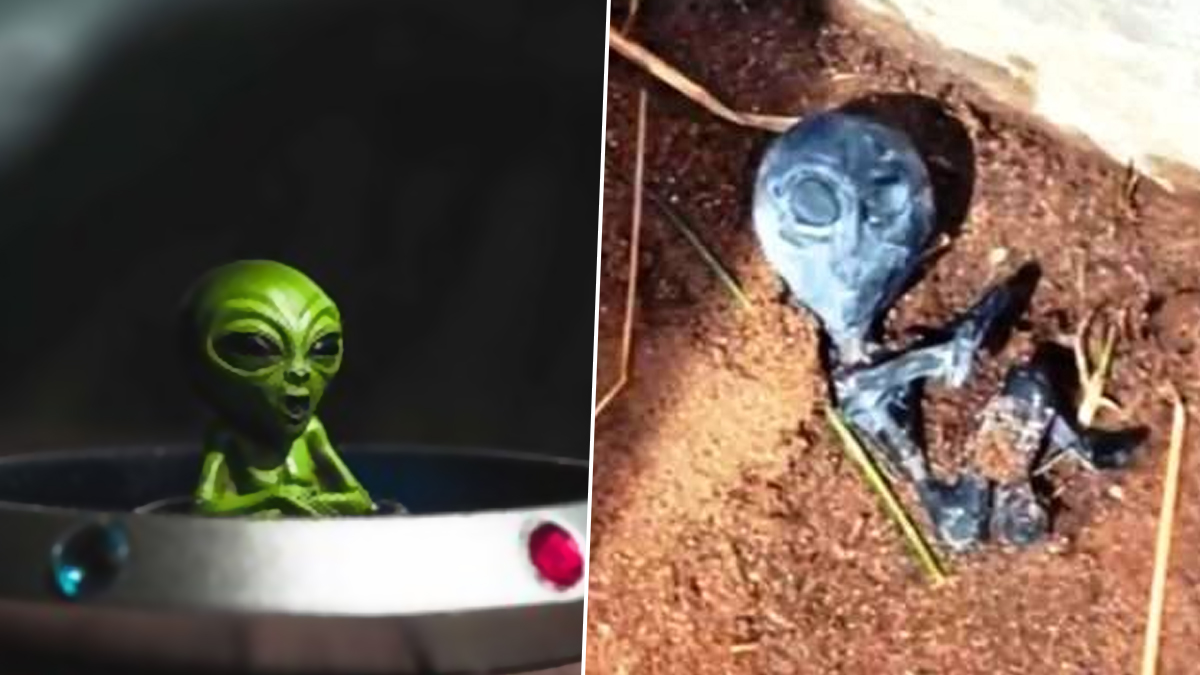 Alien Body Recovered: சடலமாக மீட்கப்பட்ட குட்டி ஏலியன்.. பீதியை கிளப்பும் உள்ளூர் மக்கள்.. அமெரிக்காவில் அதிர்ச்சி சம்பவம்.!