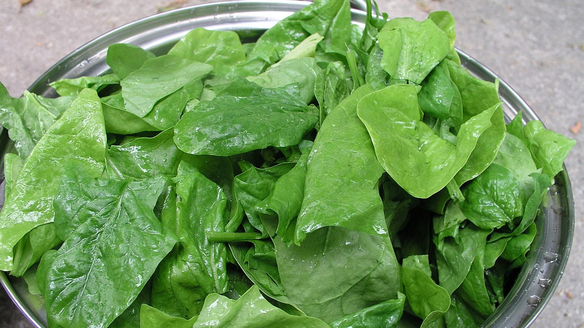 Health Tips: அன்றாடம் சாப்பிடும் கீரையில் நிறைந்துள்ள சத்துக்கள் எவை?.. புள்ளி விபரத்துடன் தெரிந்துகொள்ளுங்கள்.!