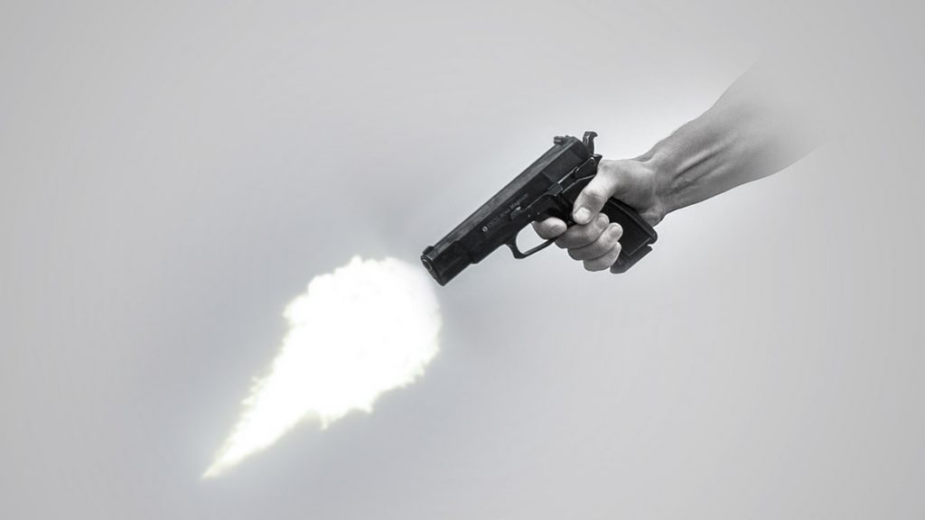 Gun Shot In Street Dogs: தெரு நாய்களை சுட்டுக்கொன்ற 3 பேர் கைது - சொகுசு கார், துப்பாக்கி பறிமுதல்..!