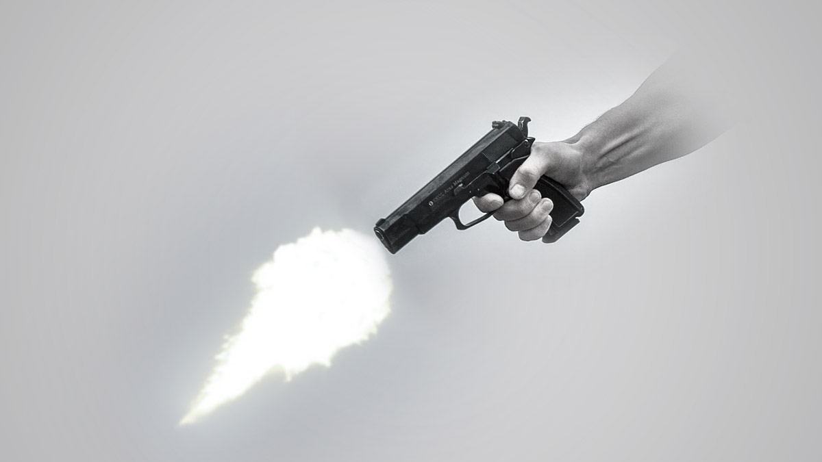 Gun Shot In Street Dogs: தெரு நாய்களை சுட்டுக்கொன்ற 3 பேர் கைது - சொகுசு கார், துப்பாக்கி பறிமுதல்..!